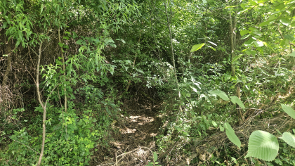Lester Jarnigan Tract 4