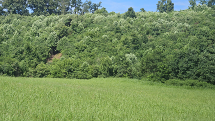Lester Jarnigan Tract 5