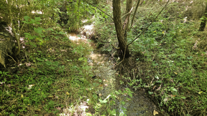 Lester Jarnigan Tract 8