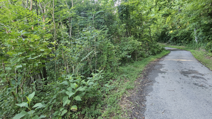 Lester Jarnigan Tract 9