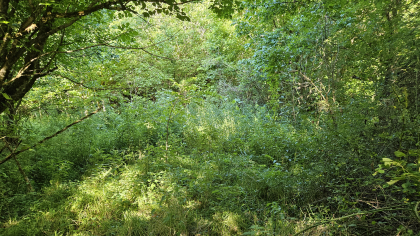 Lester Jarnigan Tract 10