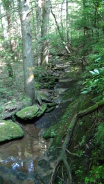 Four Creeks Tract 13