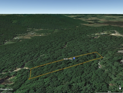 Blowing Cave Rd Tract M