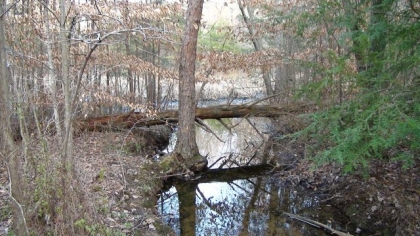 Wilder Acres Tract 1A