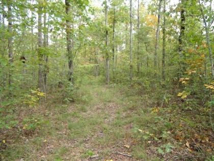 Clear Fork Acres Tract 58