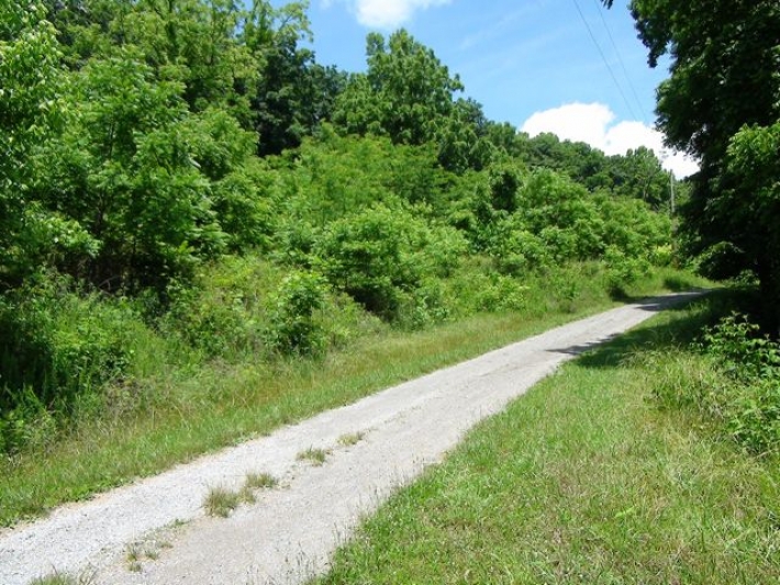 Bailey Hollow Tract 37