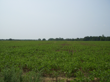 Logan's Glen Tract 1