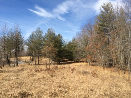 Burrville Rd Tract 2