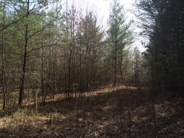 Burrville Rd Tract 2