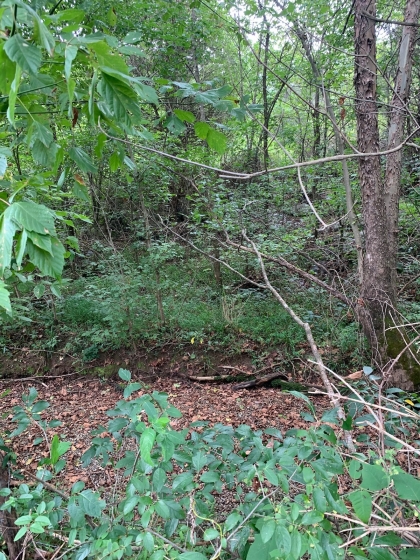 Horton Ford Road Tract 4