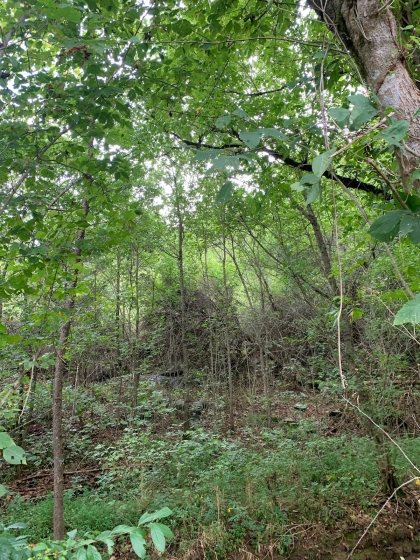 Horton Ford Road Tract 4
