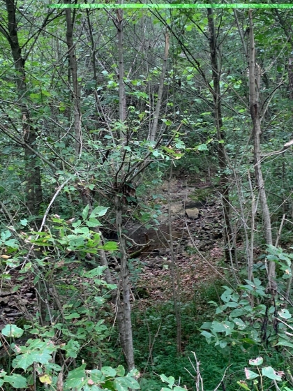 Horton Ford Road Tract 4