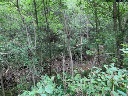 Horton Ford Road Tract 4