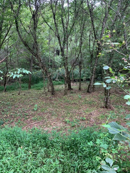 Horton Ford Road Tract 4