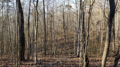 Wildcat Ridge - Phase 4 - Tract 5