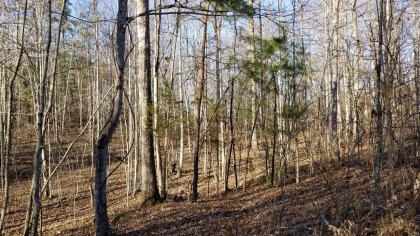 Wildcat Ridge - Phase 4 - Tract 5