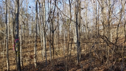 Wildcat Ridge - Phase 4 - Tract 5