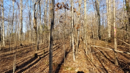 Wildcat Ridge - Phase 4 - Tract 5