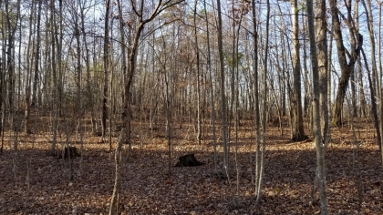 Wildcat Ridge - Phase 4 - Tract 5