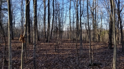 Wildcat Ridge - Phase 4 - Tract 5