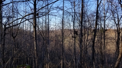 Wildcat Ridge - Phase 4 - Tract 5