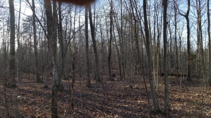 Wildcat Ridge - Phase 4 - Tract 5