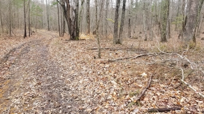 Wildcat Ridge - Phase 4 - Tract 5