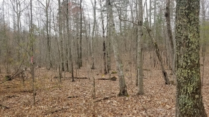 Wildcat Ridge - Phase 4 - Tract 5