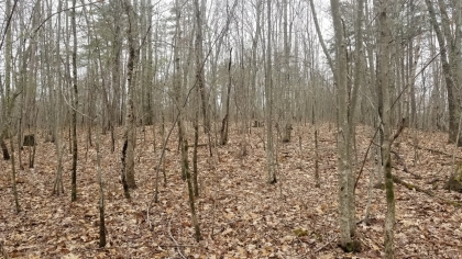 Wildcat Ridge - Phase 4 - Tract 5