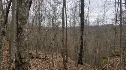 Wildcat Ridge - Phase 4 - Tract 5