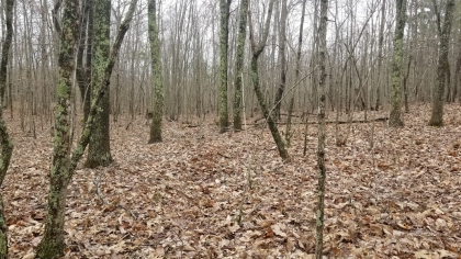 Wildcat Ridge - Phase 4 - Tract 5