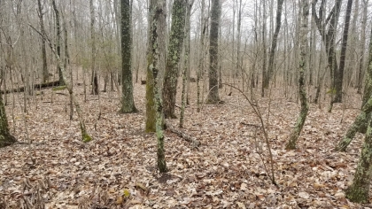 Wildcat Ridge - Phase 4 - Tract 5