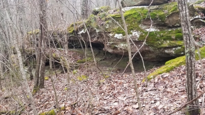 Wildcat Ridge - Phase 4 - Tract 5