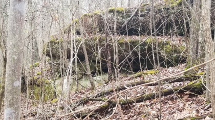 Wildcat Ridge - Phase 4 - Tract 5