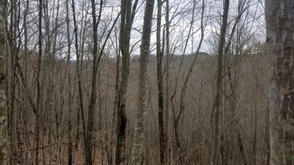 Wildcat Ridge - Phase 4 - Tract 5