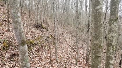 Wildcat Ridge - Phase 4 - Tract 5