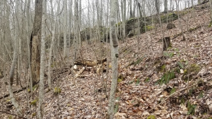 Wildcat Ridge - Phase 4 - Tract 5