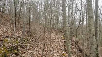 Wildcat Ridge - Phase 4 - Tract 5