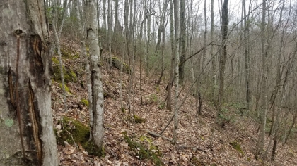 Wildcat Ridge - Phase 4 - Tract 5