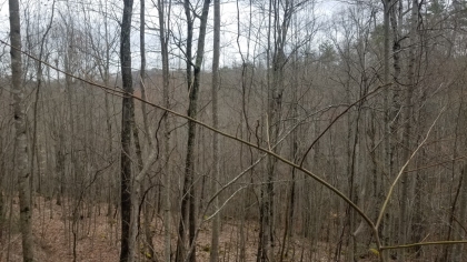 Wildcat Ridge - Phase 4 - Tract 5