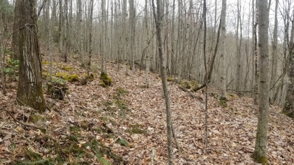 Wildcat Ridge - Phase 4 - Tract 5