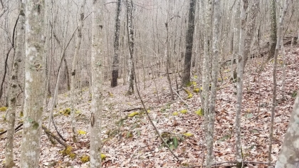 Wildcat Ridge - Phase 4 - Tract 5