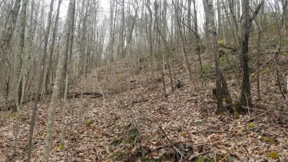 Wildcat Ridge - Phase 4 - Tract 5