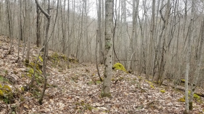 Wildcat Ridge - Phase 4 - Tract 5