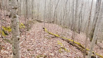 Wildcat Ridge - Phase 4 - Tract 5