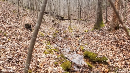 Wildcat Ridge - Phase 4 - Tract 5