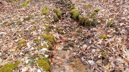 Wildcat Ridge - Phase 4 - Tract 5