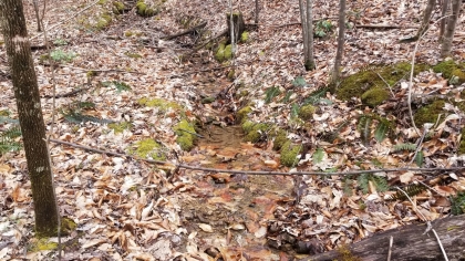 Wildcat Ridge - Phase 4 - Tract 5