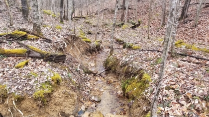 Wildcat Ridge - Phase 4 - Tract 5