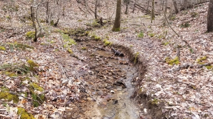 Wildcat Ridge - Phase 4 - Tract 5